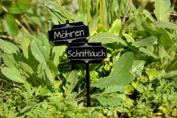 Pflanzschilder Acryl Rechteck