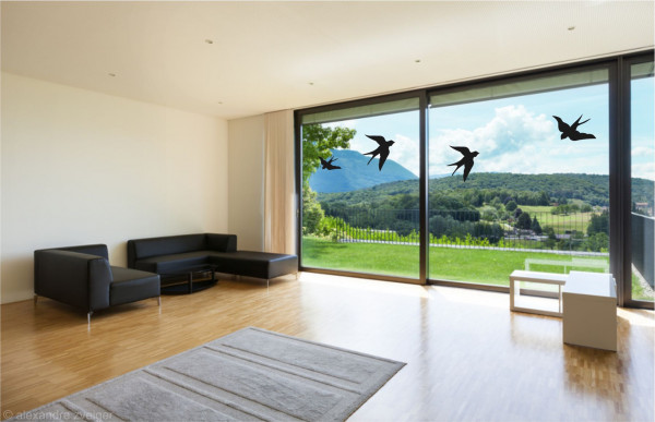 Set 1 Vogel Schutz