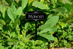 Pflanzschilder Acryl Rechteck
